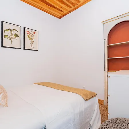 River View 1bdr In Alfama Close To Tram