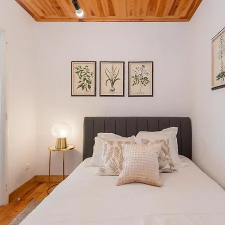River View 1bdr In Alfama Close To Tram דירה